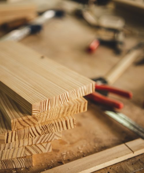 professional carpentry tool, equipment for workshop with wood industry by carpenter